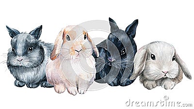 Poster with bunnies on an isolated white background, painted with watercolor, fluffy bunny Cartoon Illustration