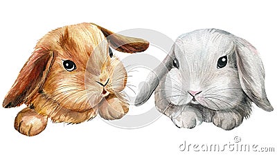 Poster with cute bunnies on an isolated white background, painted with watercolor, fluffy bunny Cartoon Illustration