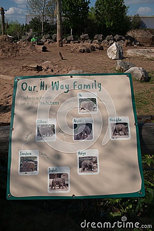 Poster depicting an elephant family tree. Chester zoo,UK Editorial Stock Photo