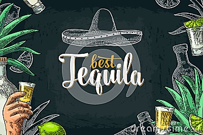 Poster with hand holding glass, bottle, salt, agave, lime Vector Illustration