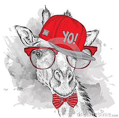 The poster with the image giraffe portrait in hip-hop hat. Vector illustration. Vector Illustration
