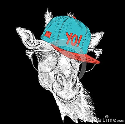The poster with the image giraffe portrait in hip-hop hat. Vector illustration. Vector Illustration