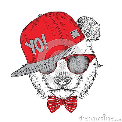 The poster with the image panda portrait in hip-hop hat. Vector illustration. Vector Illustration