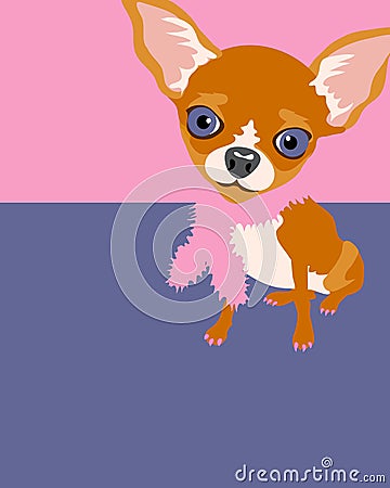 Poster layout with Chihuahua Vector Illustration