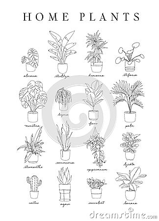 Poster linear home plants Vector Illustration