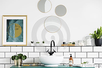 Poster next to round mirrors above washbasin and plant in white bathroom interior. Real photo Stock Photo