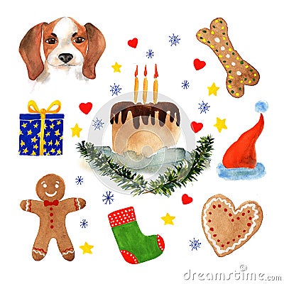 The poster of watercolor portrait Beagle, Bone, Cake, Spruce branches and Cake. Stock Photo