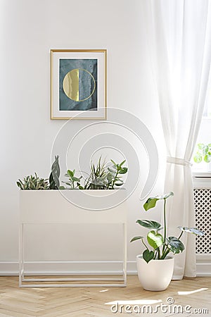 Poster on white wall above plants in living room interior with d Stock Photo