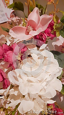 posterized flower, Sakura flower Stock Photo