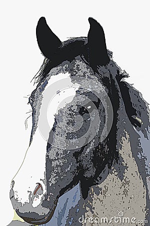 Alert Grey Mare Head - Painting Stock Photo