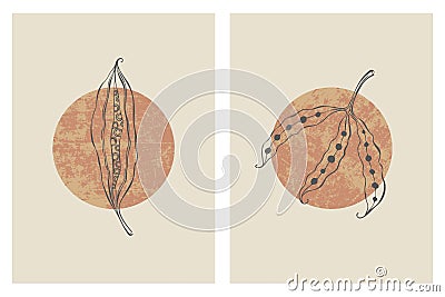 Posters with minimalist design elements in Boho style . Wall art pods seed, home deco, hand drawn. Vector Illustration