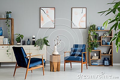 Posters and plants in bright living room interior with navy blue armchairs and flowers. Real photo Stock Photo