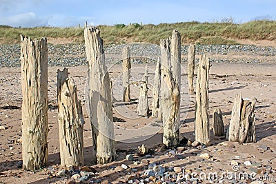 Old wooden groynes Stock Photo