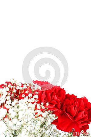 Posy Stock Photo