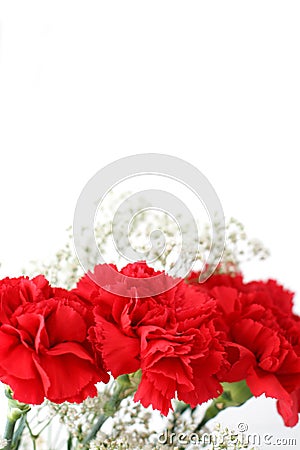 Posy Stock Photo