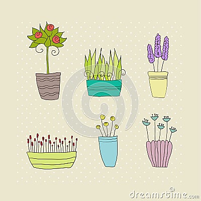 Pot plants with flowers and leaves Vector Illustration