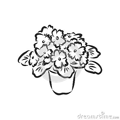 Pot plants set, vector illustration flowers in pots drawn black line on a white background, hand-drawn design elements. Vector Illustration