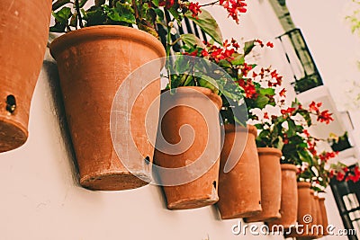 Pot. Stock Photo