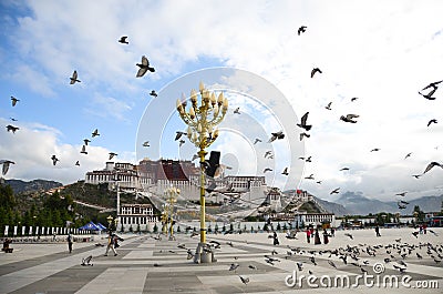 The potala palace with doves Editorial Stock Photo