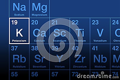 Potassium element, alkali metal with symbol K from kalium, on periodic table Vector Illustration