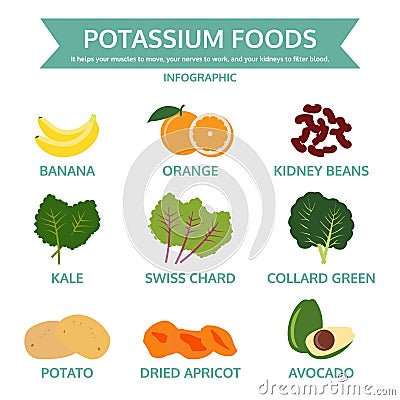 Potassium foods, food info graphic, vector Vector Illustration