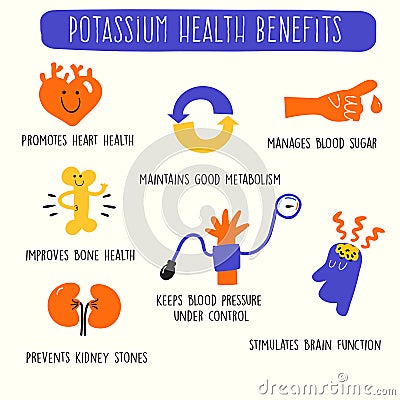 Potassium health benefits. Infographics poster. Vector illustration. Vector Illustration