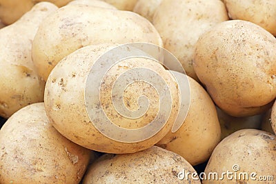 Potato Stock Photo