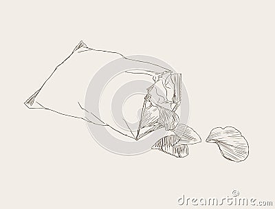 Potato chips , bag of chip ,sketch vector. Vector Illustration