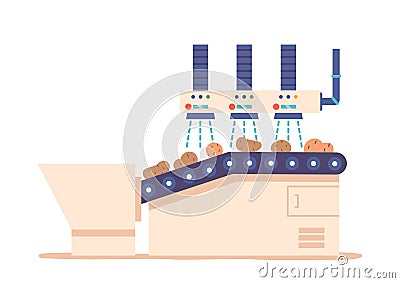 Potato Chips Manufacturing Process. Ripe Fresh Vegetable Tubers Washing on Factory Conveyor Belt Vector Illustration Vector Illustration