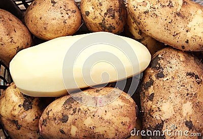 Potato Stock Photo