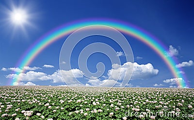 Potato field with sky and rainbow Stock Photo