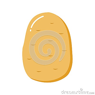 Potato flat. Vector illustration of potatoes for soup Cartoon Illustration