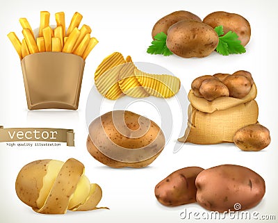 Potato and fry chips. Vegetable vector icon set Vector Illustration