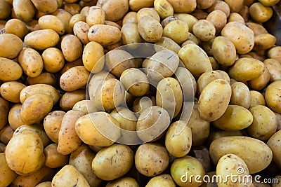 Potato. Lots of potatoes. The frame is filled with potatoes Stock Photo