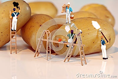 Potato painters Stock Photo