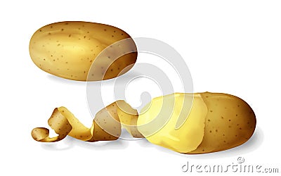 Potato peeled 3D vector illustration of isolated realistic potato vegetable whole and half peeled and spiral twisted Vector Illustration