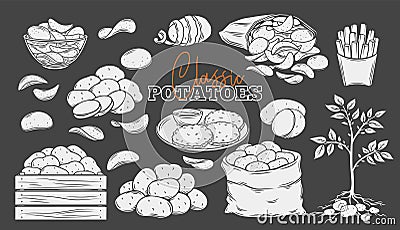 Potato products glyph icons set, white on black Vector Illustration