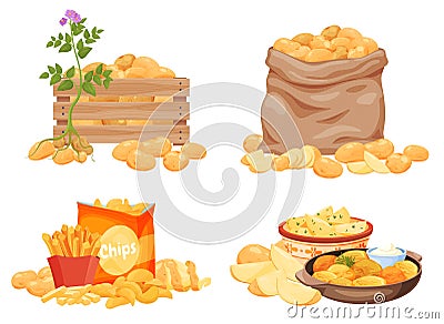 Potato products set vector flat illustration. Chips, boiled, baked, french fries, whole, slice, half Vector Illustration