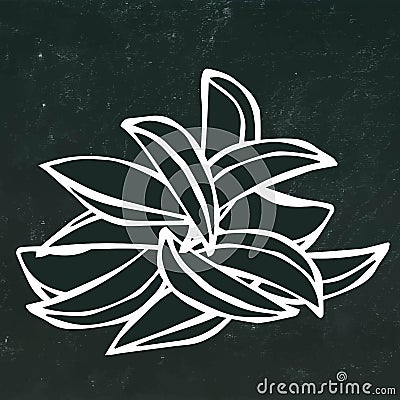 Potato Wedges Set. Fast Food. Isolated on a Black Chalkboard Background.Realistic Doodle Cartoon Style Hand Drawn Sketch Vector Illustration