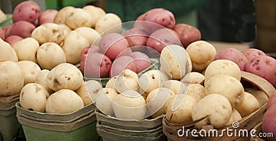 Potatoes Stock Photo