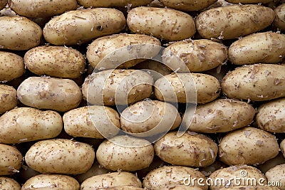 Potatoes Stock Photo