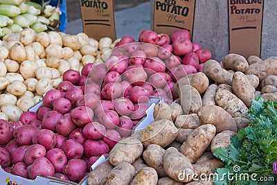 Potatoes Stock Photo