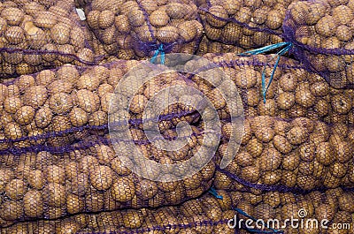 Potatoes in bags, vegetables, agriculture, agro-industry Stock Photo