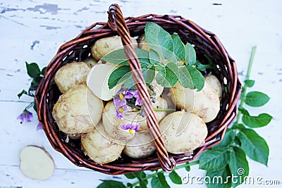 Potatoes in the basket, top view Stock Photo