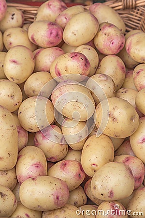 Potatoes close up detailed fresh off the ground in a basket on a Sunday`s farmers market. Concept for homegrown farming vegetarian Stock Photo