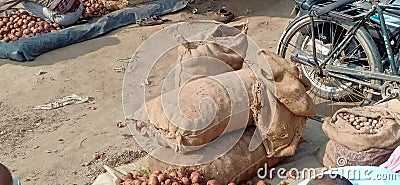 Potatoes onions market in benipatti madhubani bihar india Editorial Stock Photo