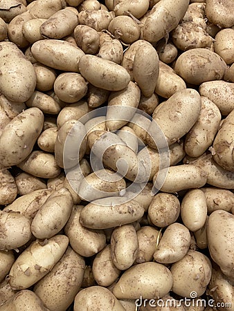 Potatoes, planting potatoes, reaping potatoes Stock Photo