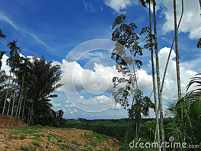 Potography of landscape and nature Stock Photo