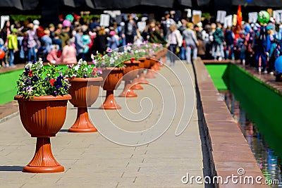Pots of flowers are set in a row Stock Photo