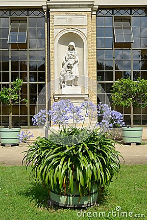 POTSDAM, GERMANY. Blossoming African lily against the background of a sculpture in a niche of the Hothouse palace. Park of San Su Stock Photo